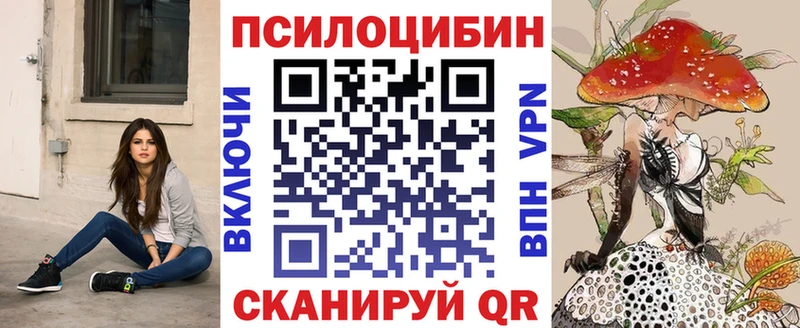 МЕГА   Ивдель  Псилоцибиновые грибы Psilocybine cubensis 